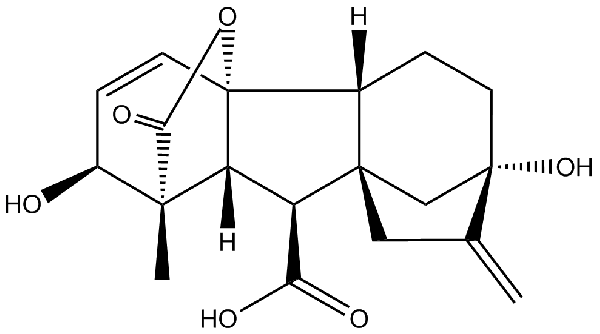 赤霉素GIBBERELLIC ACID，居然有這么神奇？